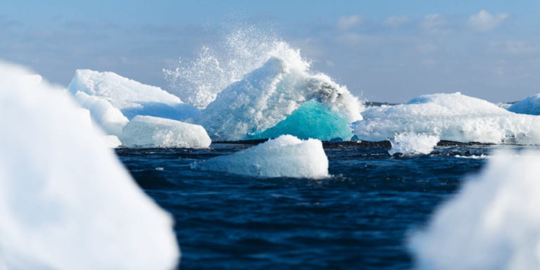 Swimming to Antarctica